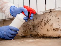 Professional Mold Prevention & Removal  in Dulce, NM